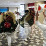 【動画】阿倍王子神社の獅子舞巡行　あべのハルカス近鉄本店