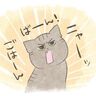 体内時計が正確な猫だけど、腹時計はあてはまらない？【猫エッセイ】交通事故にあった猫を拾いました