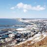 タコの尿の中で暮らす微小な寄生虫！北海道白糠町で新種の＜ニハイチュウ＞2種が見つかる