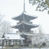 【雪の京都2024】深々と降る雪が心にしみる風景「真如堂」