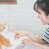 愛猫の死を招きかねない『危ないイタズラ』7選　軽い気持ちでも“虐待”につながる厳禁行為
