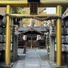 【京都神社】金運UPパワースポット！新NISA民や三連休中の一粒万倍日必訪「御金神社」