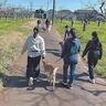 保護犬を介して悩みを持つ若者の自立を支援するNPO法人「キドックス」の試み