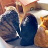 『大・中・小の猫3匹』が横並びで休憩→1匹が体勢を崩して…笑顔になれる『連鎖反応』が8万再生「ただのサイズ比較だと思ったらｗ」「爆笑」