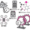 【量子力学の社会進出】量子にしかできない「芸」とは？【眠れなくなるほど面白い