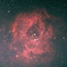 冬空にバラ　星雲撮影仲間を募集