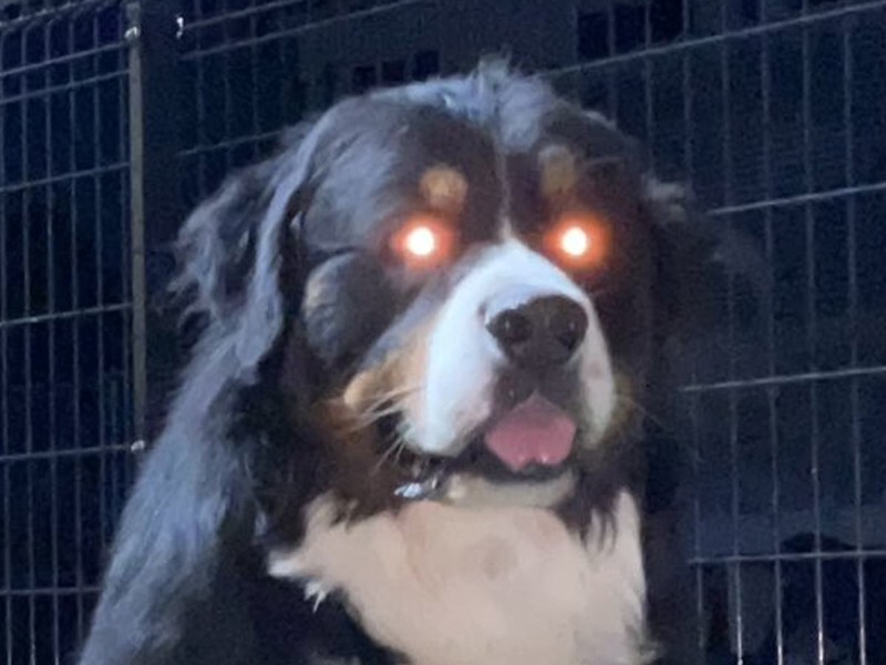 AqrN6ZEr8hvRuGCKSskqoBMPEZL5WG