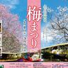 樹齢300年を越すといわれる名木など約50種類の梅が咲く　京王百草園「梅まつり」3/9まで開催　ライトアップやワークショップ、ひな祭りなどのイベントが盛りだくさん