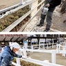 塗装で地域に恩返し　首都圏ハウスメンテナンス