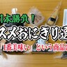 【無制限1本勝負】オススメおにぎり選手権開催！