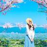 【2024】関西のネモフィラ畑おすすめ10選！澄んだ青い花に癒されよう