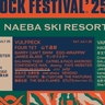 『フジロック』出演アーティスト第2弾でMIYAVI、フェルミン・ムグルサら5組発表＆ROOKIE