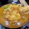 京都駅構内で満足度高い讃岐うどん！もっと早く来れば良かった「つくもうどん」