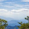 【東京・西多摩】都内でブナの森が見られる？！「三頭山」を眺めながらハイキング！