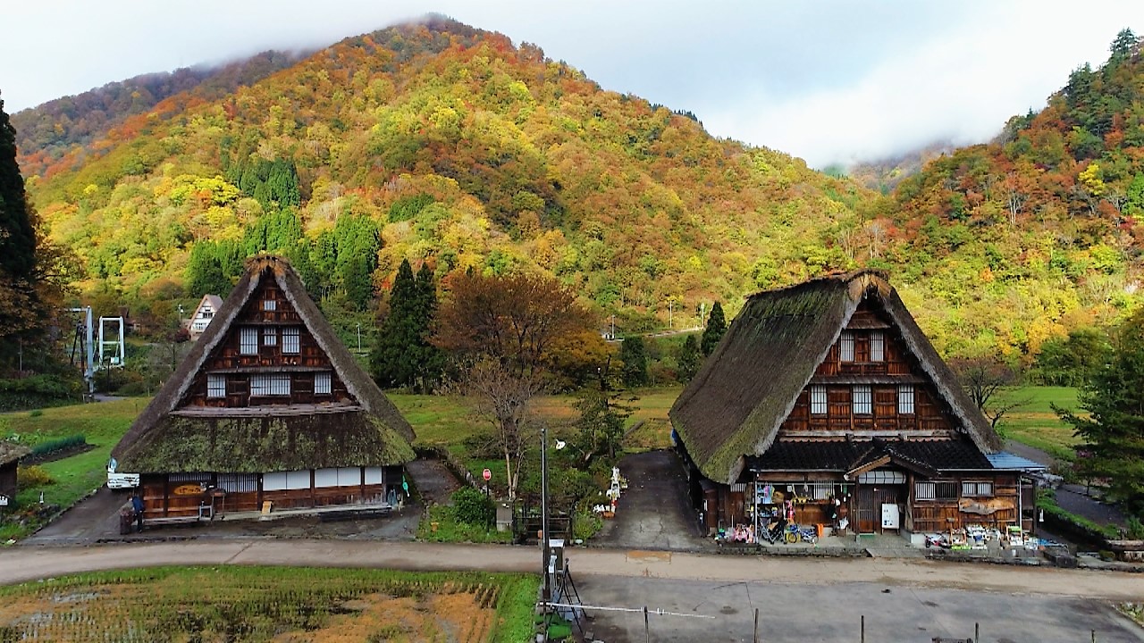 富山の紅葉2025【庄川峡・五箇山】飛越峡合掌ラインで世界遺産へ