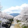 知れば知るほど奈良はおもしろい！桜の名所や春の期間限定イベントに訪れて、奈良の魅力を発見しよう