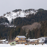 上杉謙信居城の春日山城跡を山城の姿に　上越市がスギを伐採中　本丸へは通行止め