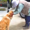 90歳のおばあちゃんと大型犬だけの秘密…家族さえも知らなかった『まさかの光景』が尊すぎると36万再生「両者、手慣れてて草」「平和で最高」