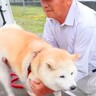 おじいちゃんが『犬と一緒に花植えに行った』結果…思った以上にはしゃぐ光景が幸せ過ぎると47万再生「そっちがはしゃぐんかいｗ」と絶賛