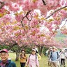 釜石・橋野鉄鉱山、世界遺産登録10年　歴史と自然感じる記念ウオーク