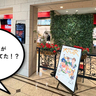 サプライズすぎる！『kino