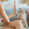 猫が教えてくれた『大切な人生訓』3つ　愛猫と暮らしたからこそ得られたものとは？