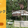 今年で25周年！糸島の老舗カフェ「ラスティックバーン」【福岡県糸島市】