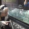 愛嬌たっぷり！うみがたり「ダンゴウオ」特別展