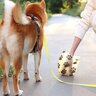 犬のウンチで体調不良を判断する方法とは？できるだけ早く病院へ連れて行くべき便の状態まで