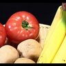 実はその野菜、いたみやすくしているかも…冷蔵庫に入れる・入れないを大解剖【前編】