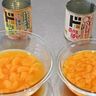 どっちにする？ドンキの人気みかん缶詰2種類を徹底比較