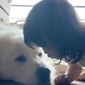 1歳の女の子が『超大型犬に育てられた』結果…大好きが溢れて『ちゅーが止まらなくなる光景』が尊すぎると36万再生「なんだか泣ける」の声も