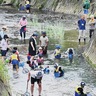 平瀬川で生き物調査