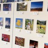 ちがすき写真展開催中　16日まで茅ヶ崎市博物館