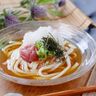 夏にもってこい！梅おろしの冷やしうどん