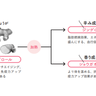 最強のやせ調味料『しょうがオイル』の作り方を紹介！いつもの料理がダイエットメニューになる！？【1週間で勝手に-10歳若返る体になるすごい方法】