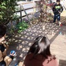 遊びで笑顔を増やす　金程小６年生