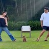 『パパとママが逆方向に走ったら、犬はどちらについてくるのか？』を検証→切なすぎる結果と『まさかの展開』が250万再生「全員可愛い」と反響
