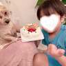 辻希美、愛犬の誕生日に長男が買ってきたもの「持病があったりして大変な事も多々ありますが」