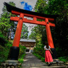 リアルまねき猫に会える真庭市の「木山神社」。かわいい御朱印もご紹介