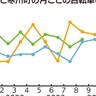 道交法改正　自転車罰則が厳罰化　事故件数年末に増加