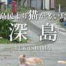 大分にある島民より猫が多い島って知ってる？【深島】