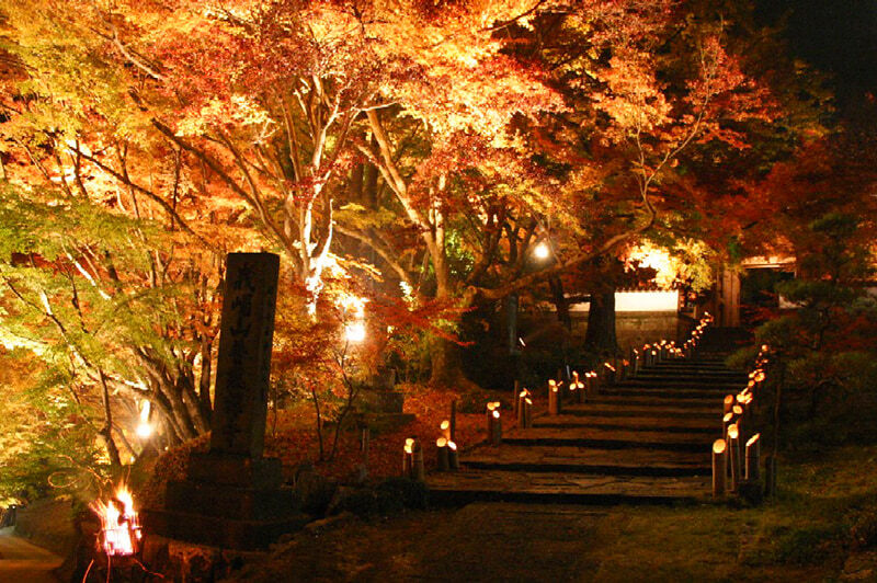 AqrN6ZEr8hvRuGCKSskqoC9Ywy10KE