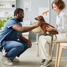 動物病院で『絶対に守るべき』４つのマナー　トラブルを起こさないために飼い主がすべきこととは