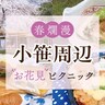 春爛漫！小笹周辺お花見ピクニック【福岡市中央区】