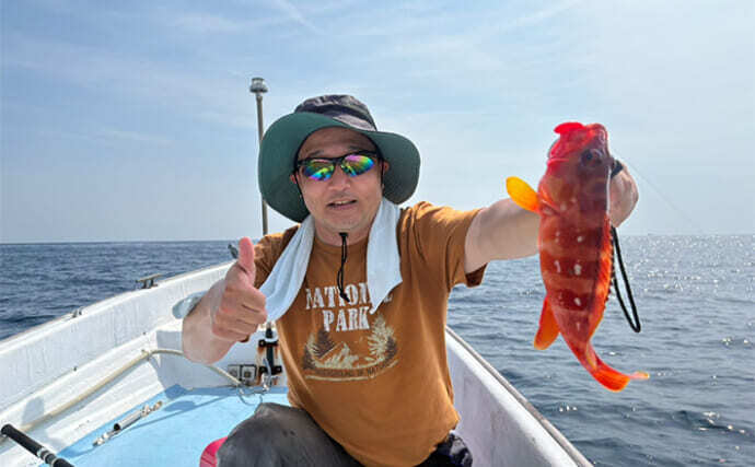 田村釣具　羽太　アカハタ 田村釣具 羽太 アカハタ 田村釣具 羽太
