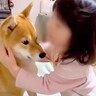 小さな女の子が『犬を抱きしめた』結果…まさかの『辛辣すぎる一言』に爆笑「正直すぎて草」「最高ｗ」「ツボに入った」と1万9000再生