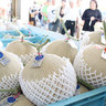名張の特産「美旗メロン」販売スタート　8月上旬までに7000玉
