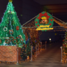 【聖籠町・メニークリスマスツリー】聖籠町町民会館にたくさんのクリスマスツリーが輝く！