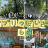 【まるでジブリの世界観】東京・谷中の〝ジブリっぽい〟雰囲気を体感できるおすすめの場所6選